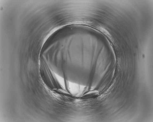 X0000059081428200510281712