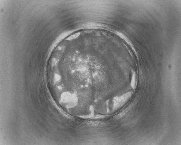 X0000059081429200510281712