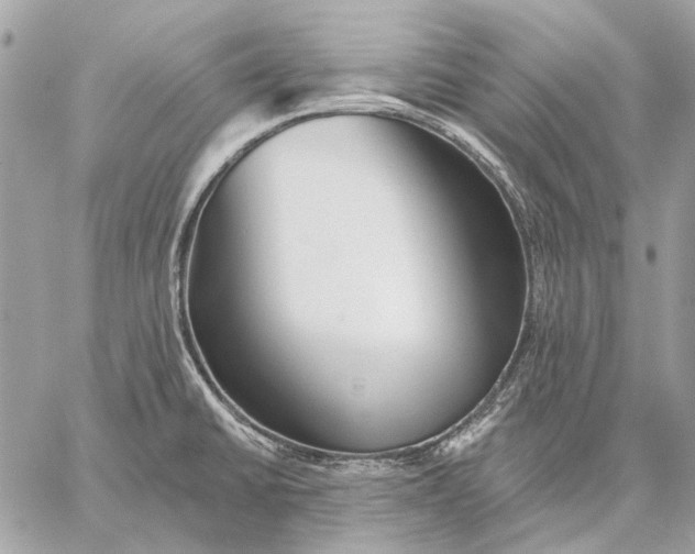 X0000059081430200510281712