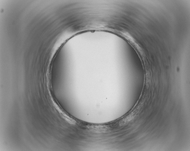 X0000059081432200510281712