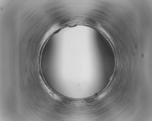 X0000059081434200510281712