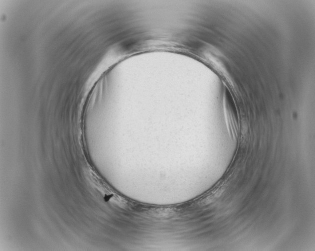 X0000059081435200510281712