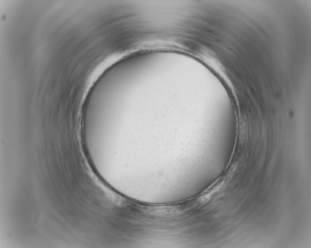 X0000059081437200510281712