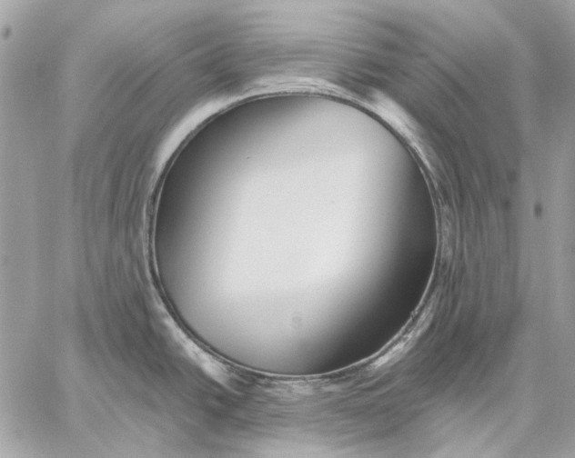 X0000059081438200510281712