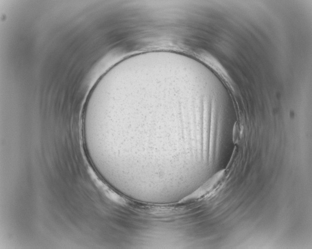 X0000059081439200510281712