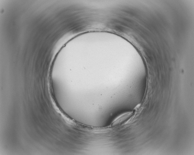 X0000059081440200510281712