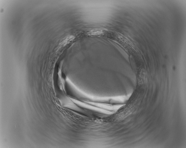 X0000059081441200510281711