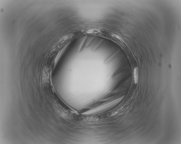 X0000059081443200510281711