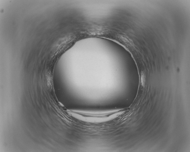 X0000059081444200510281711