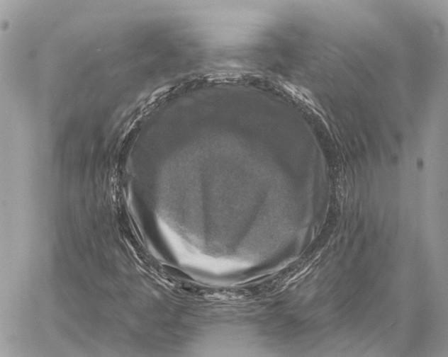 X0000059081445200510281711