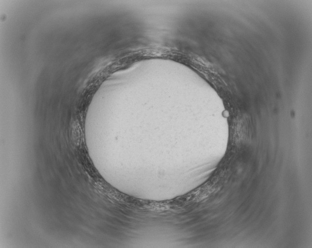 X0000059081446200510281711