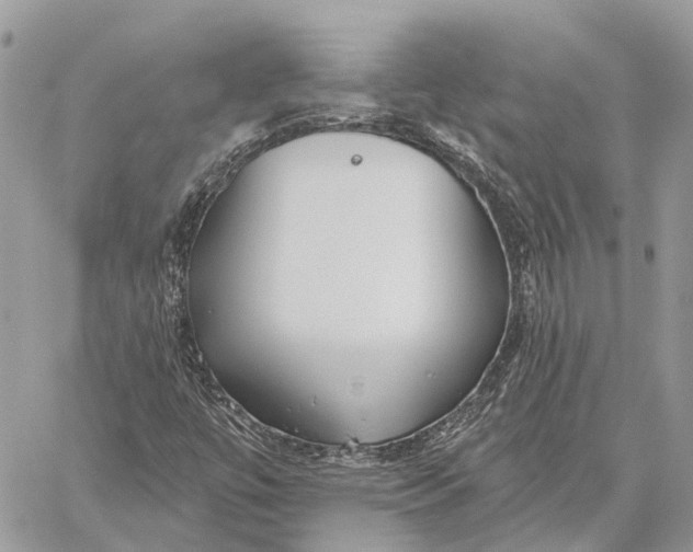 X0000059081447200510281711