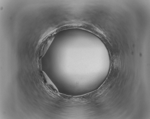 X0000059081448200510281711