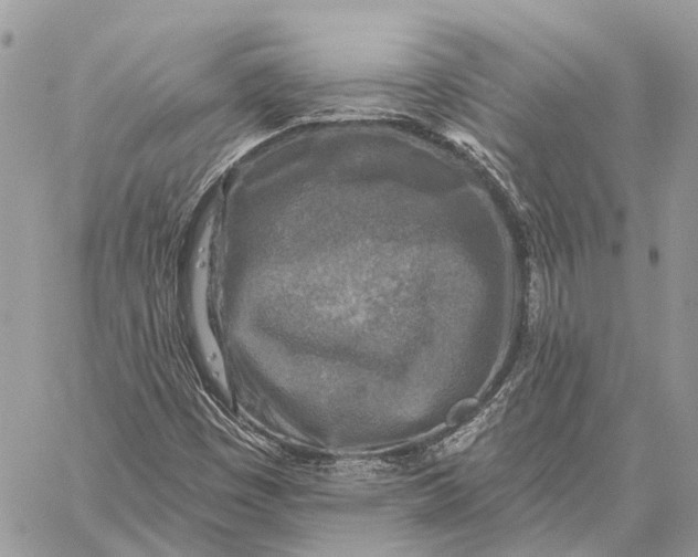 X0000059081449200510281711