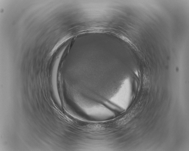 X0000059081450200510281711