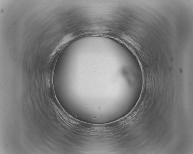 X0000059081451200510281711