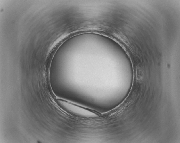 X0000059081452200510281711