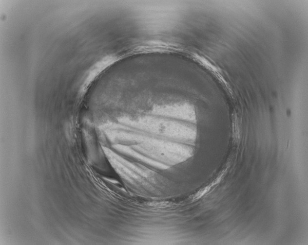 X0000059081453200510281711