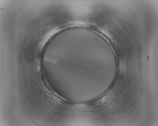 X0000059081455200510281711