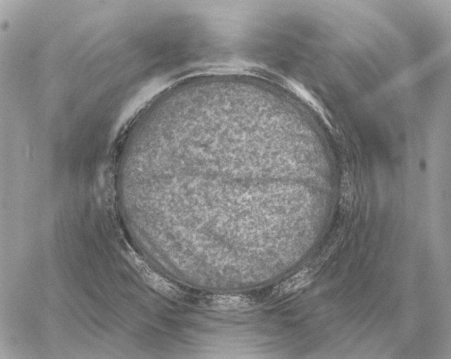 X0000059081456200510281711