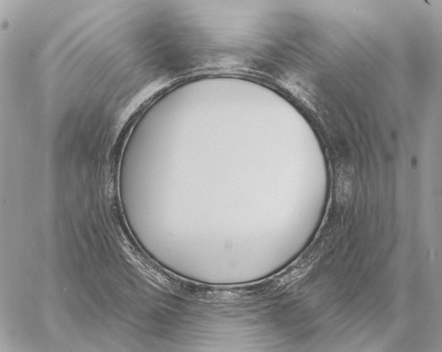 X0000059081458200510281711