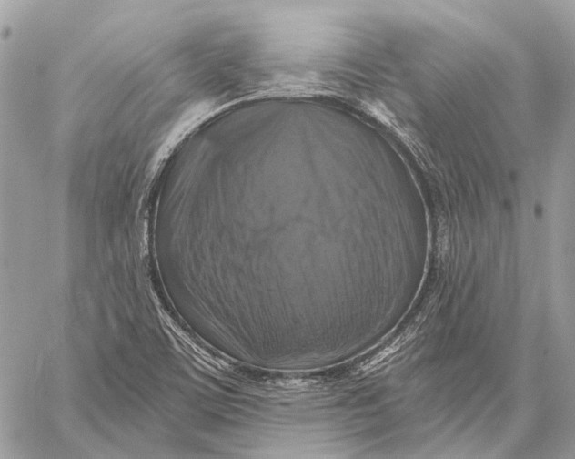 X0000059081459200510281711