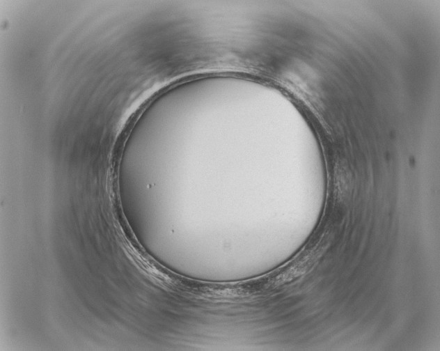 X0000059081460200510281711