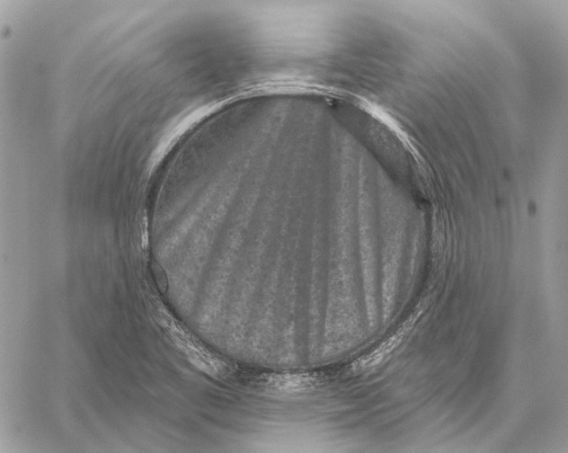 X0000059081461200510281711