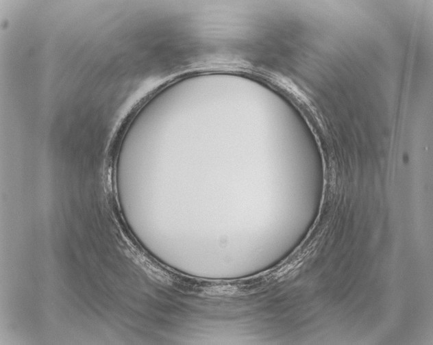 X0000059081462200510281711