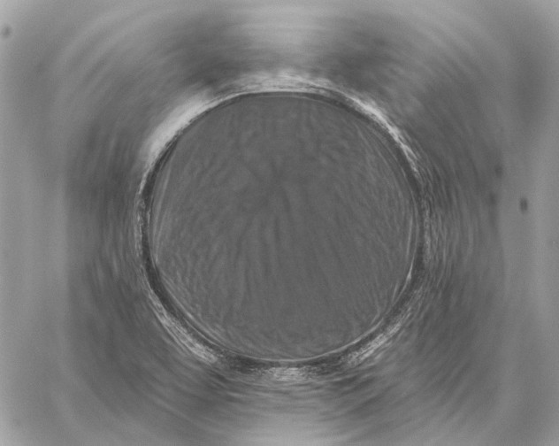 X0000059081463200510281711