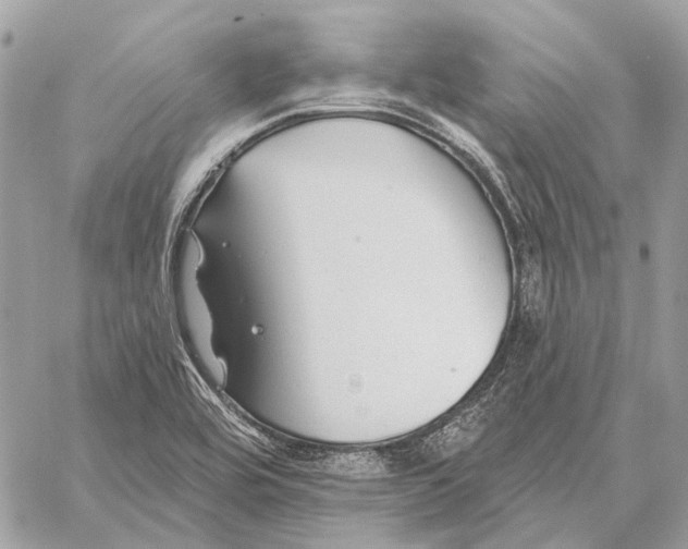 X0000059081464200510281711