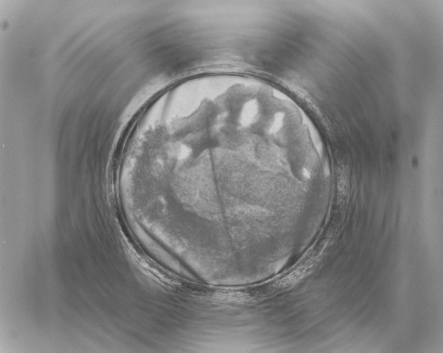 X0000059081466200510281711