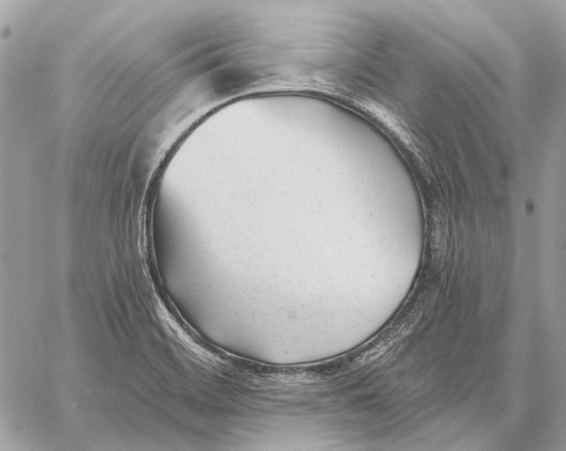 X0000059081468200510281711