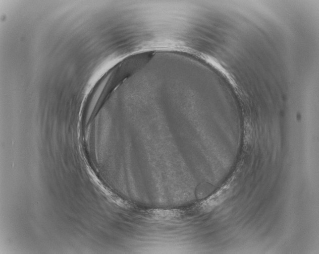 X0000059081469200510281711