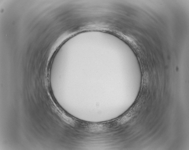 X0000059081470200510281711