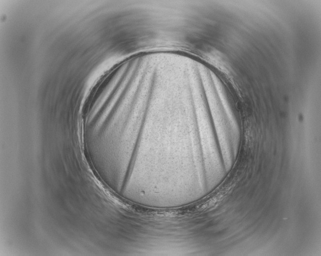 X0000059081472200510281711