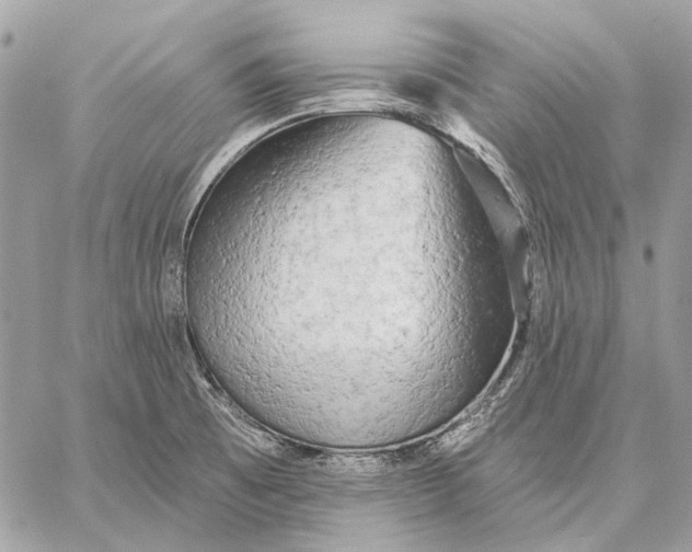 X0000059081473200510281711