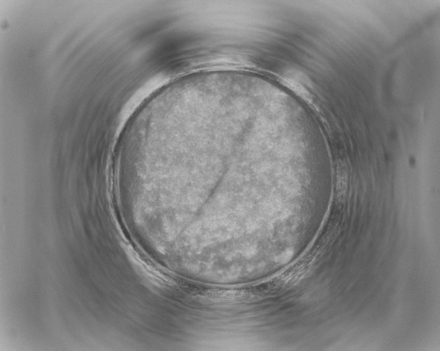 X0000059081474200510281711