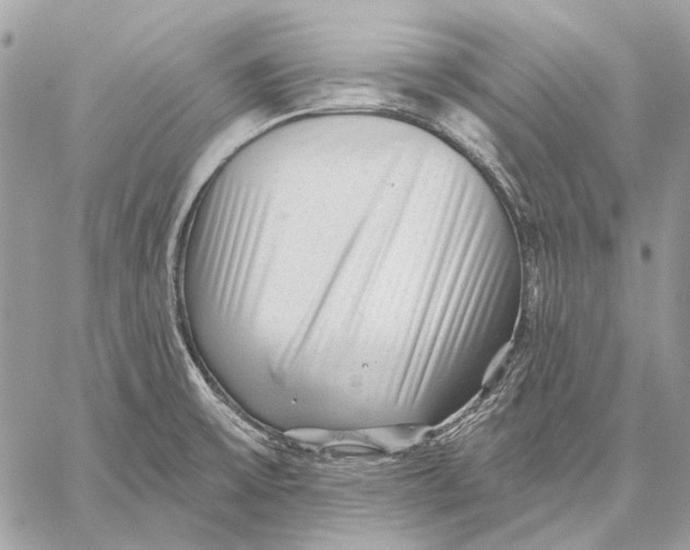 X0000059081475200510281711