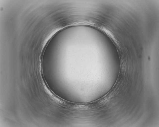 X0000059081476200510281711