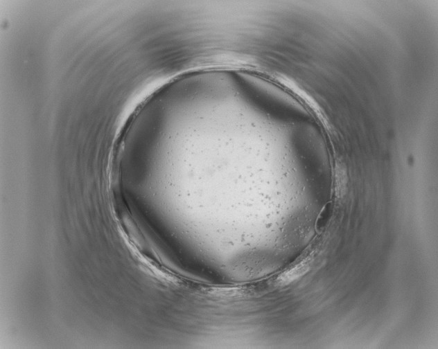 X0000059081477200510281711