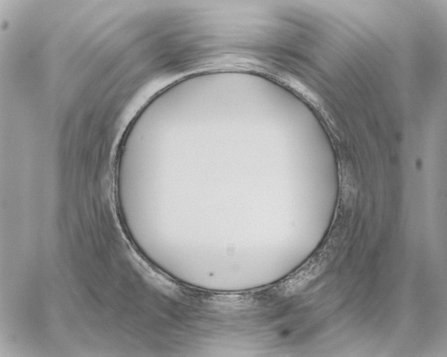 X0000059081478200510281711