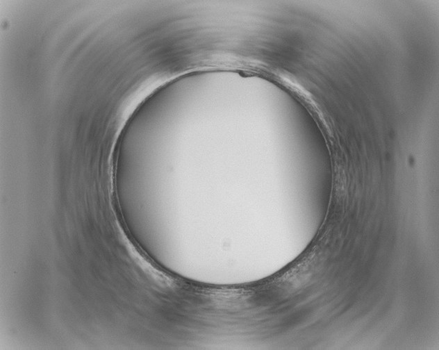 X0000059081479200510281711