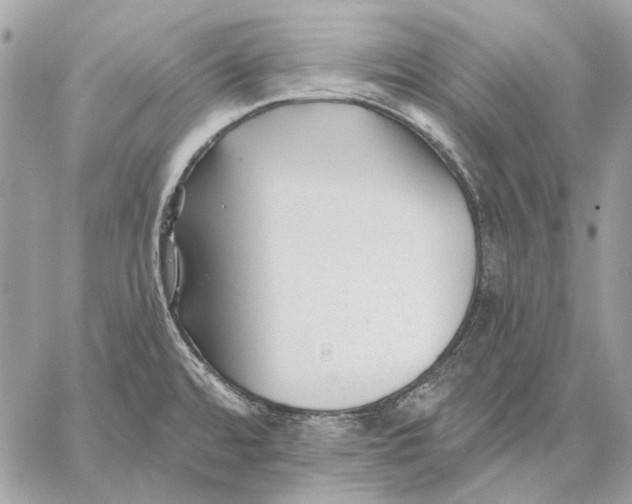 X0000059081480200510281711