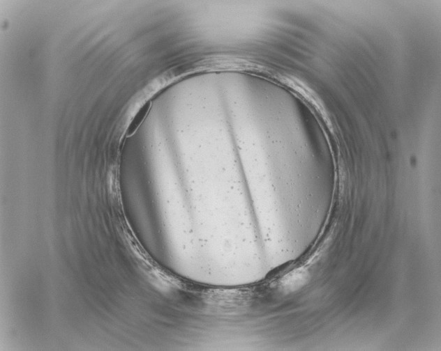 X0000059081481200510281711