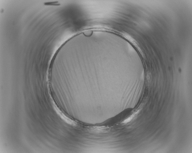 X0000059081482200510281710