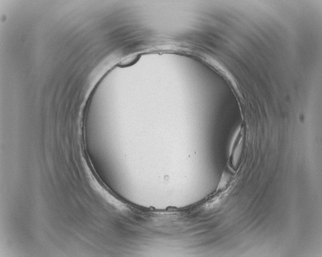 X0000059081483200510281710