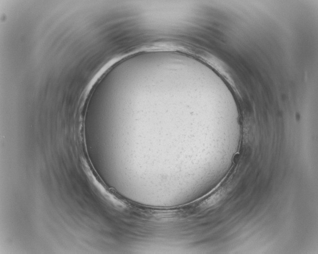 X0000059081484200510281710