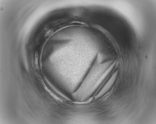 X0000059081487200510281710