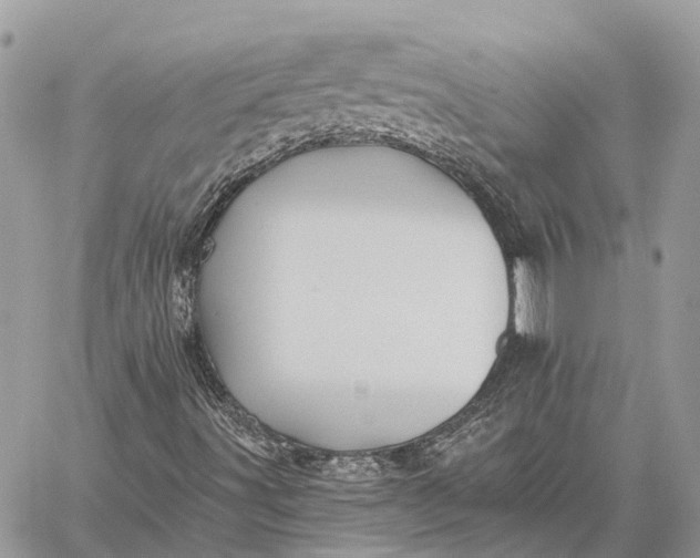 X0000059081491200510281710